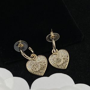 Nieuwe Diamond Designer Oorbellen voor Vrouw Oorbellen 925 Zilveren Naald Oorbellen Mode-sieraden