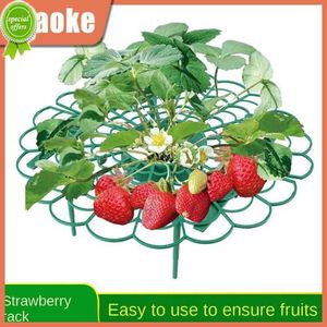 Nieuwe demontage niet breken afneembare beugel voorkomen fruit verval cirkelvormig plastic aardbeienrek gemakkelijk op te slaan