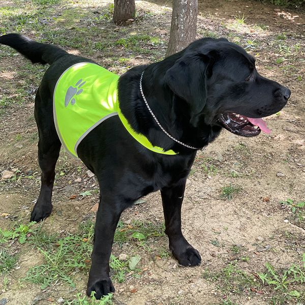 Vêtements pour chiens, gilet de sécurité, vert Fluorescent, réfléchissant, griffes de chien, cheveux dorés, Labrador Husky, T-shirt respirant pour chien, nouvelle collection