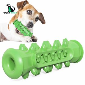 Nouveau jouet de chien de meulage à la tige de morsure résistant à la dent de la brosse à dents d'os de la brosse à dents de chien DT-004 LJ201125
