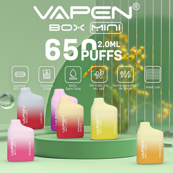 Le plus récent Vapen Box Mini stylo jetable de dispositif de Vape 650Puffs pré-remplis 2ml Pods Mesh Coil Portable Bang Petite boîte BC650 Vapor e Cigarettes Vaporisateurs