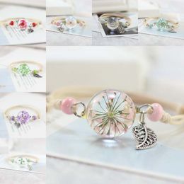 Nieuwe Droge Bloem Baby's Adem Paardebloem Klaver Glas Cabochon Armband Charm Mode-sieraden voor Dames Kids Gift Drop Shipping