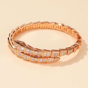 Hoge versie v goud Nieuwe elastische open met microset zirkoon vergulde volledige diamanten smalle slangenbeenarmband