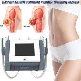 Nieuwe Emslim Hi-EMT Tech Body Slimming Electromagnetische Spier Stimulatie Vet Branden Massage Beauty Apparatuur