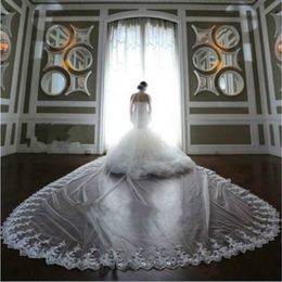 Nieuwe mode kathedraal lengte bruidssluiers met appliques rand lange bruiloft sluier vestido de noiva jurk accessoires