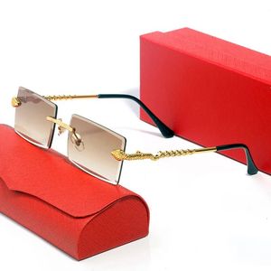 nouvelles lunettes de soleil de créateur de mode pour hommes femmes noir cool serpent cadre série hommes femmes lunettes dames plage en plein air en forme de S E