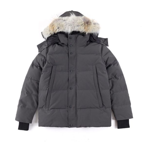 Nouveau manteau en duvet d'oie de mode hommes vestes d'hiver à capuche manteaux chauds et coupe-vent en plein air avec capuchon amovible parka vêtements d'extérieur pour hommes doudoune taille XS-3XL