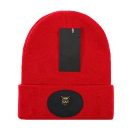 Nieuwe modemannen en vrouwen ontwerpers hoeden motorkap winter beanie gebreide wollen hoed plus fluwelen cap schedels masker fringe beanies hoeden luxe merk p-9