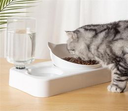 Nouveau mangeur chien Cat Cat Food Fountain Fountain Double Bowl buvant des bols de support de support surélevés avec des fournitures pour animaux de compagnie Y2009227342956