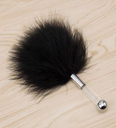 NOUVEAUX NAVES TOSE TEAPE TOYLLE TOYLLE POUR FEATH POUR FÉTICHE ADULT TOYS TOYS SOFT FEATHER TEASER DUSTER SEX TOYS POUR COUPLES Y12498306