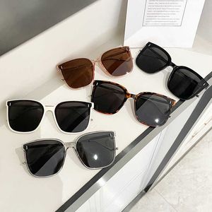 Nuevas gafas de sol G Family M, gafas de sol populares, gafas de moda con montura grande, pedido pequeño
