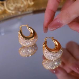 Nieuwe Goudkleurige Mesh Zirkoon 14k Geel Gouden Oorbellen voor Vrouwen Persoonlijkheid Mode Luxe Dagelijks Leven Accessoires Partij Sieraden Verjaardagscadeaus