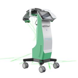 NIEUWE Groen licht 10D lipo Laser afslanken machine 532nm laser afvallen lichaam beeldhouwen remodelleren collageen Machine