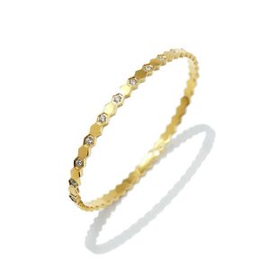 Nieuwe zeshoekige glanzende kristal vrouwen armband titanium stalen armbanden gehele hoge kwaliteit niet fade3657906