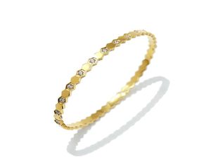 Nieuwe zeshoekige glanzende kristal vrouwen armband titanium stalen armbanden gehele hoge kwaliteit niet fade4120438