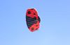 Nouvelle-qualité de 1,4 m de haute qualité à double ligne parafoil kites kites plage sportive avec poignée de cerf-volant et corde facile à voler 0110