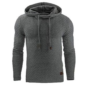 Hoodies Men Merk mannelijke geruite sweatshirt sweatshirt hoods hoodie tracksuit zweetjas casual sportkleding m-4xl drop 201130