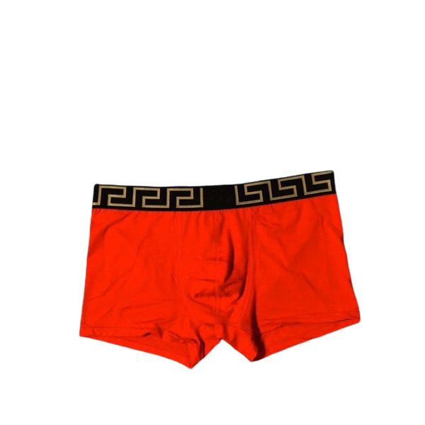 Nouveau coton chaud hommes sous-vêtements sexy boxeurs doux respirant lettre caleçon Shorts conception ceinture serrée