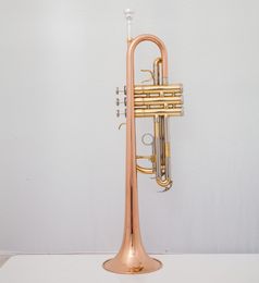 Nueva venta caliente Tubo de latón de alta calidad Tono C Trompeta pequeña Ajustable Doble cuerno Superficie chapada en oro Instrumentos musicales profesionales