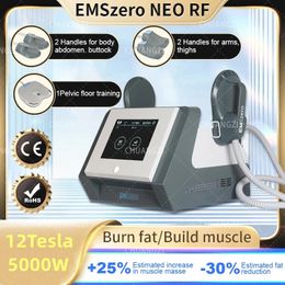 Nieuw in DLS-Emslim Neo 12 Tesla 5000W HI-EMT Body beeldhouwen vetverwijdering cellulitis reductiemachine EMSZERO