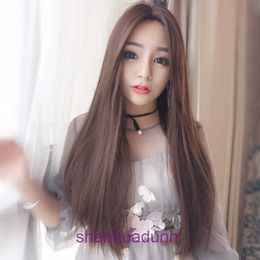 Nieuwe Koreaanse pruik dames lang rechte haar zonder pony