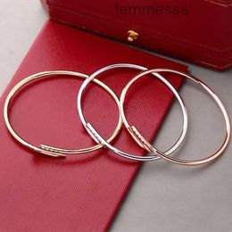 Nieuwe luxe designer armband 3 mm dunnere nagel mode unisex manchet paar bangle goud titanium stalen sieraden Valentijnsdag geschenk Cz BrandY4EZ Y4EZ8CW4 8CW4