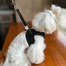 Nuevo lujo Pet Pe Dog Arnés Set de la espalda Coloque con correa para mascotas Correa de perro Suministros de mascotas French Bulldog Chihuahua Schnauzer XS S M L XL