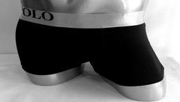 Nouveaux hommes Polo Underwear Horse Print Sexy Men039S Briefs modal confortable Solide Solid Souffle Shorts secs rapides Black3631717