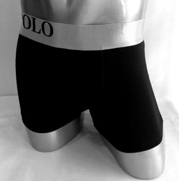 Nouveaux hommes Polo Underwear Horse Print Sexy Men039S Briefs modal confortable Solide Solide Breathable Shorts secs rapides Black3582297