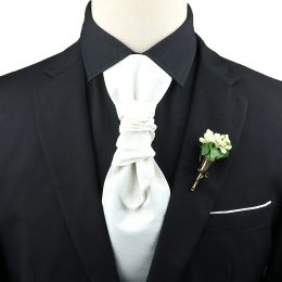 Nuevo broche de corbata de paisley premium para hombre