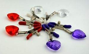 Metalen zilver volwassen bdsm bondage seks speelgoed fantasie een paar klemmen clips ring met ketting fetisj voor vrouwen