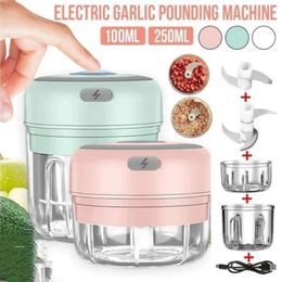 Nieuwe Mini Elektrische Keuken Voedsel Chopper Mini Knoflook Stamper crusher Draagbare 100/250 ml Knoflook Chopper Voedsel Chopper Keuken accessoires