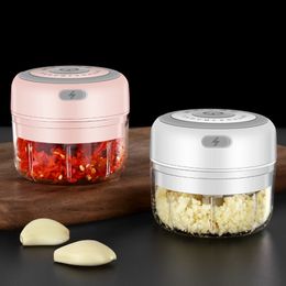 Draagbare draadloze elektrische knoflookmolen mini -keukenmachine 100 ml/250 ml knoflook chopper multifunctioneel vlees chili keukenmixer