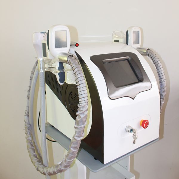 Nuevo modelo Cryolipolysis Fig Feat Feat Portable Cryo Slimming Machine Congelar Frecuencia de vacío Reducción de grasa congelado Crioterapia Desktop Equipos de pérdida de peso de alta calidad