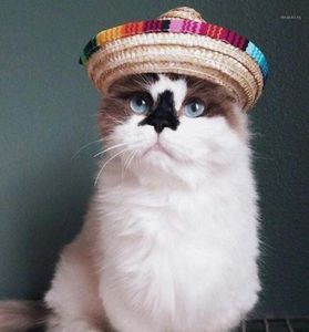 Nouveau chapeau de paille multicolore pour animaux de compagnie chien chat mexicain paille Sombrero chapeau animal de compagnie boucle réglable Costume dropship17316675