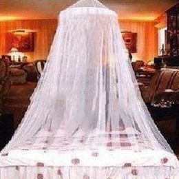 Nieuwe Nieuwe Koepel Elegent Kant Zomer Huis Bed Netting Canopy Circular Mosquito Net Sale 1obx 5GB5