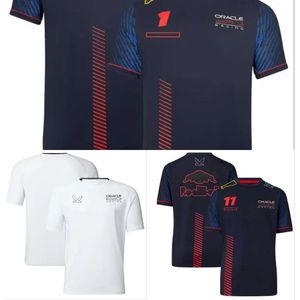 Nieuwe nieuwe nieuwe F1 Racing Polo Suit Summer Team Rapel Shirt dezelfde stijlaanpassing