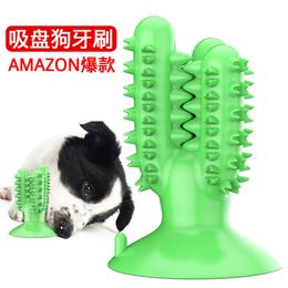 Nouveaux produits pour animaux de compagnie brosse à dents pour chien jouets bâton molaire manquant de cactus résistant aux morsures
