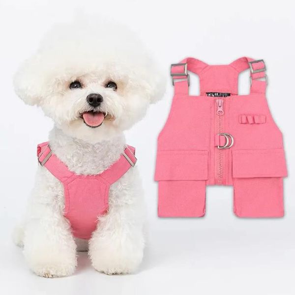 Nouveaux animaux de compagnie fournitures Designer vêtements pour chiens accessoires de mode pour chiens printemps automne Bixiong chiot Schnauzer Teddy mince débardeur avec anneau de remorquage meilleure qualité