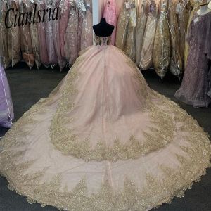 Nouvelle robe de bal rose robes quinceanera pour filles appliques perlées robes de fête d'anniversaire lacets en arrière du bal de graduation