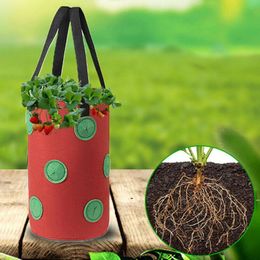 Nouveaux planteurs Pots 2/4pcs sacs de planteur de fraises pour la culture de pommes de terre en plein air jardin vertical suspendu ouvert plantation de légumes grandir EWD7755