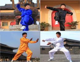 Nouveau polyester chinois Tai Chi Kung Fu Wing Chun Martial Art Suit Mouette veste uniforme Costume4908565