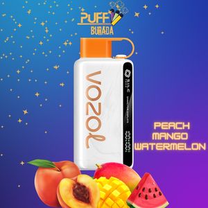 Vaporizador disponible de la venta al por mayor electrónica del cigarrillo del soplo de la estrella 9000/12000 de Vozol del nuevo producto