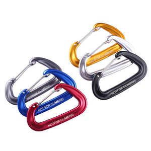 NIEUW PROFESSIONEEL KARABINER KLIMPING Key Hooks Security Master Lock Mountaineering Protective Equipment Outdoor Ascend Accessoire