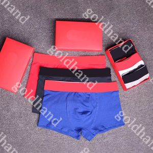 Nieuwe pure katoenen mannen onderbroek designer zachte ademende boksers shorts mannelijk sexy ondergoed 3 stcs/lot