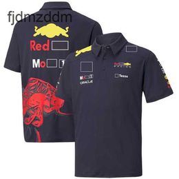 Nouveau RB F1 T-shirt Apparel Formula 1 Fans Extreme Sports Vêtements respirants Top surdimensionné surdimension