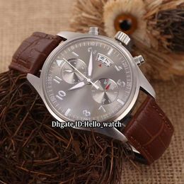 Nieuw Spitfire Big Pilot IW387802 Silver Gray Dial Automatic Mens Watch Silver Kast