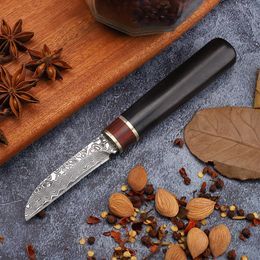 New Style 2.5 Inch Damascus VG10 Steel Rosewood Handle Fishing Travel Pocket Mini Fruit EDC Utility Knife