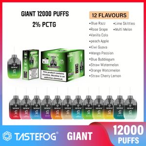 Nieuwe stijl hoge prestaties fruitsmaken wegwerp e sigaret 12k puffs 9k puffs wegwerp vape gesloten prifilled pod 12000 puff met type-c poort