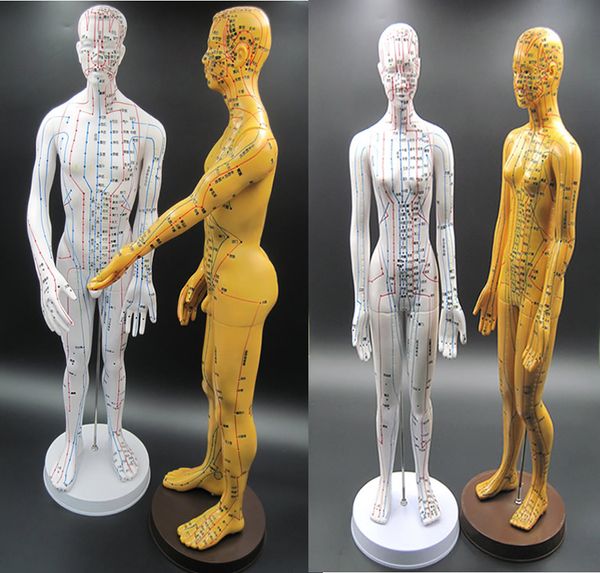 Mannequin de point d'acupuncture humain de nouveau Style Vente chaude Mannequin FemaleMale fabriqué en Chine
